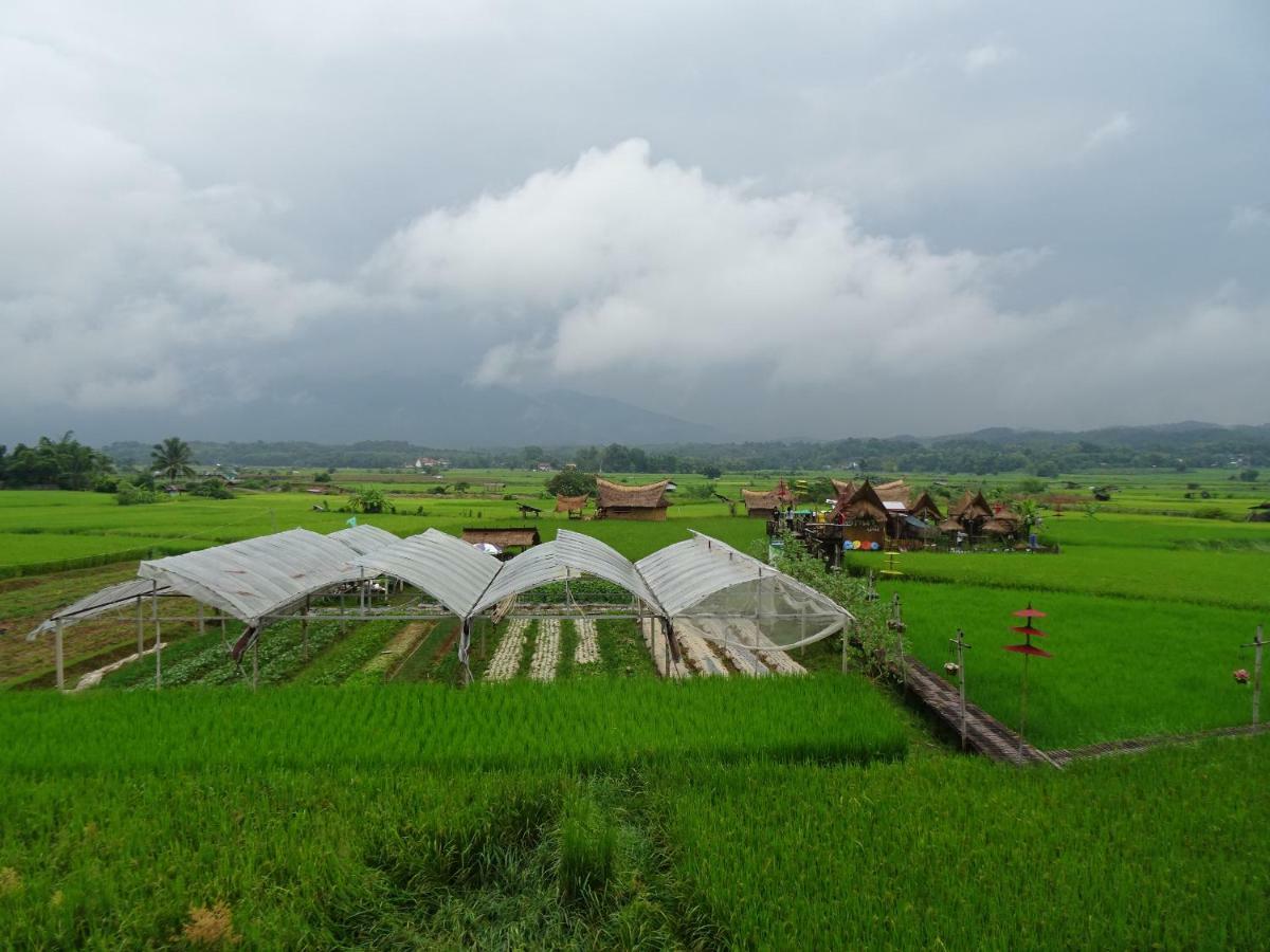 Pua Tranquil Vista Homestay Exteriér fotografie